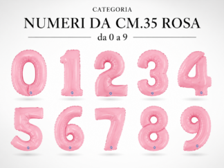 1407 - ROSA
